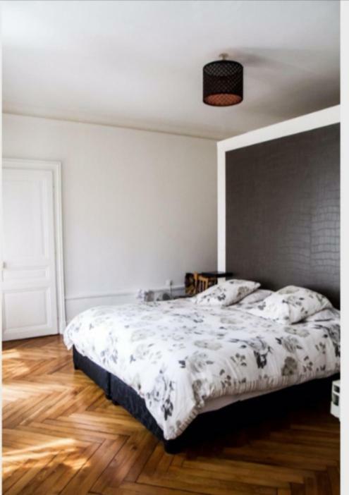 Grand Appartement Haussmannien 160M2 Besançon Zewnętrze zdjęcie